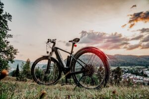 Tax rules for E-Bikes and Mopeds